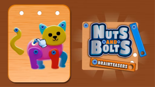 Nuts and Bolts Brainteasers
